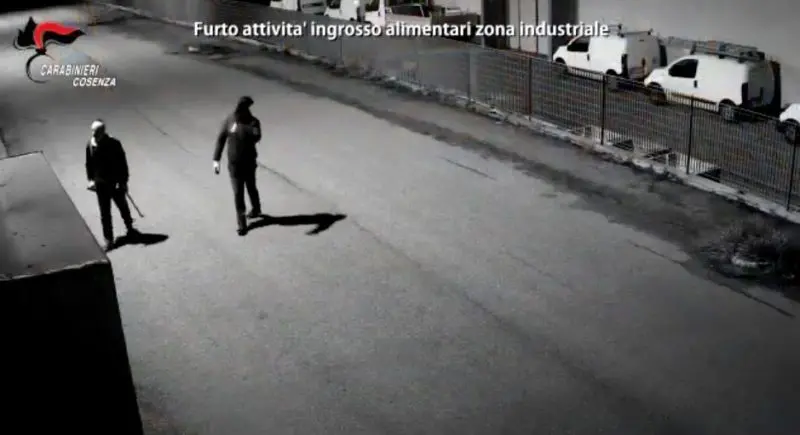 Da Napoli a Lattarico per una rapina e un furto: ecco le indagini di \"Vulture\"