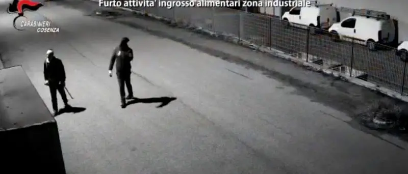 Da Napoli a Lattarico per una rapina e un furto: ecco le indagini di \"Vulture\"