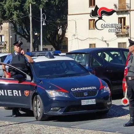Tenta di rubare un pc custodito in un'auto, i carabinieri lo arrestano