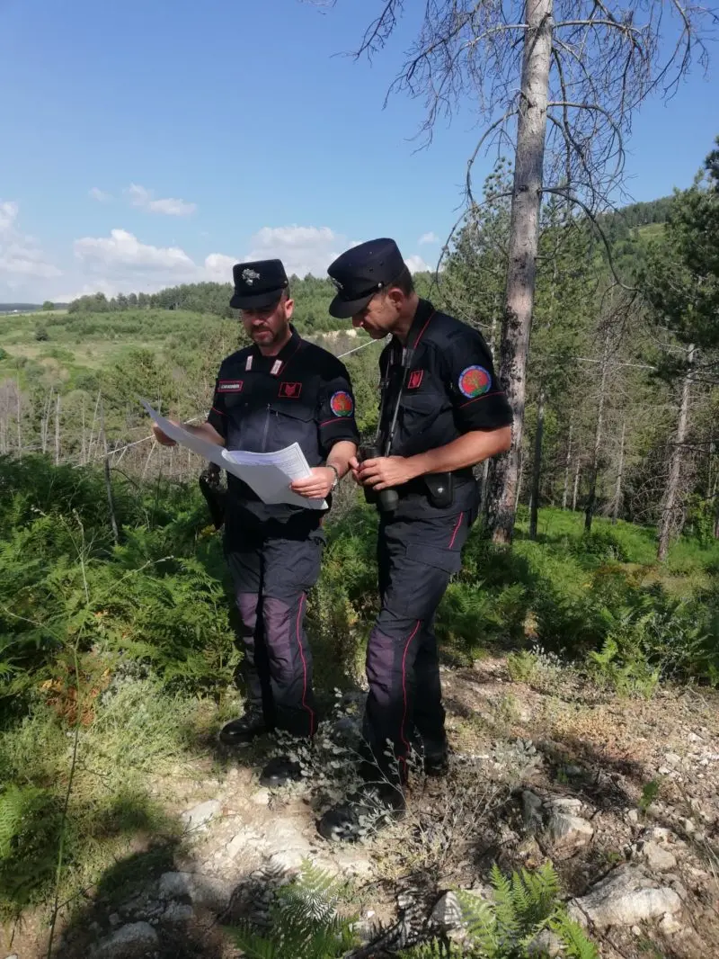 Truffa aggravata a San Giovanni in Fiore, indagate tre persone. Ecco le accuse