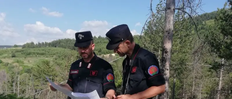 Truffa aggravata a San Giovanni in Fiore, indagate tre persone. Ecco le accuse