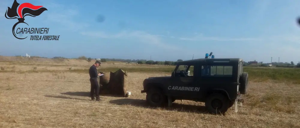 Villapiana: a caccia con richiami vietati, tre persone denunciate