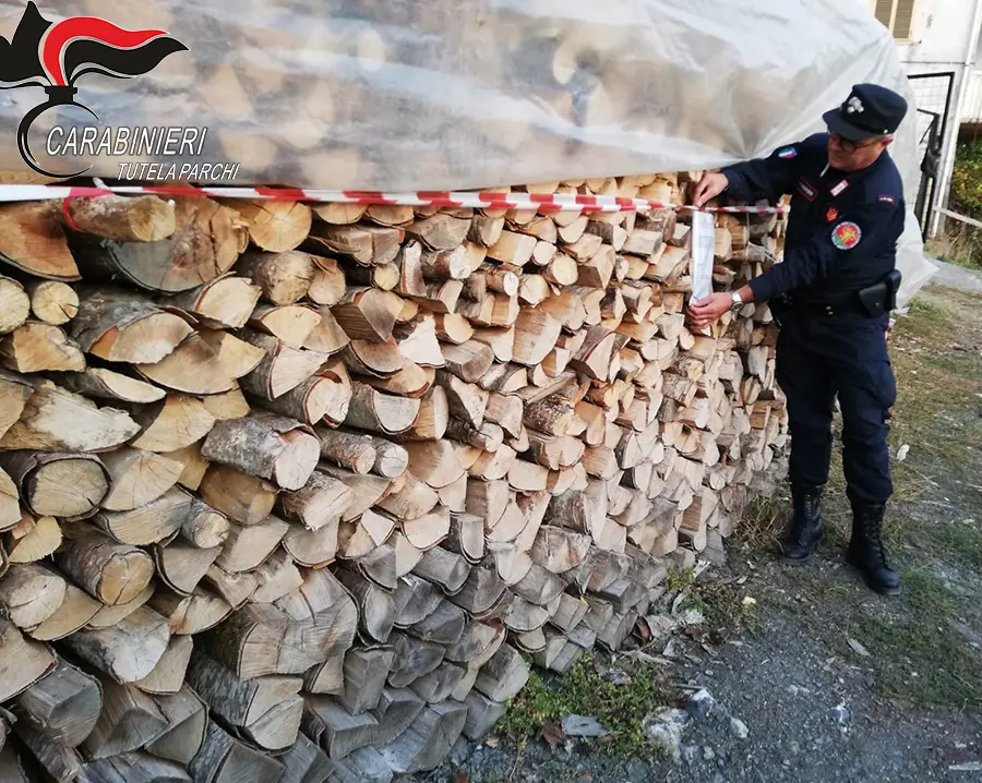 Verbicaro, tre persone denunciate per ricettazione di materiale legnoso