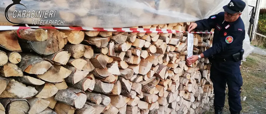 Verbicaro, tre persone denunciate per ricettazione di materiale legnoso