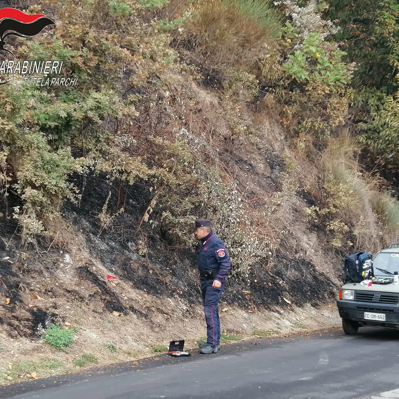 Acquaformosa, uomo denunciato per incendio boschivo doloso