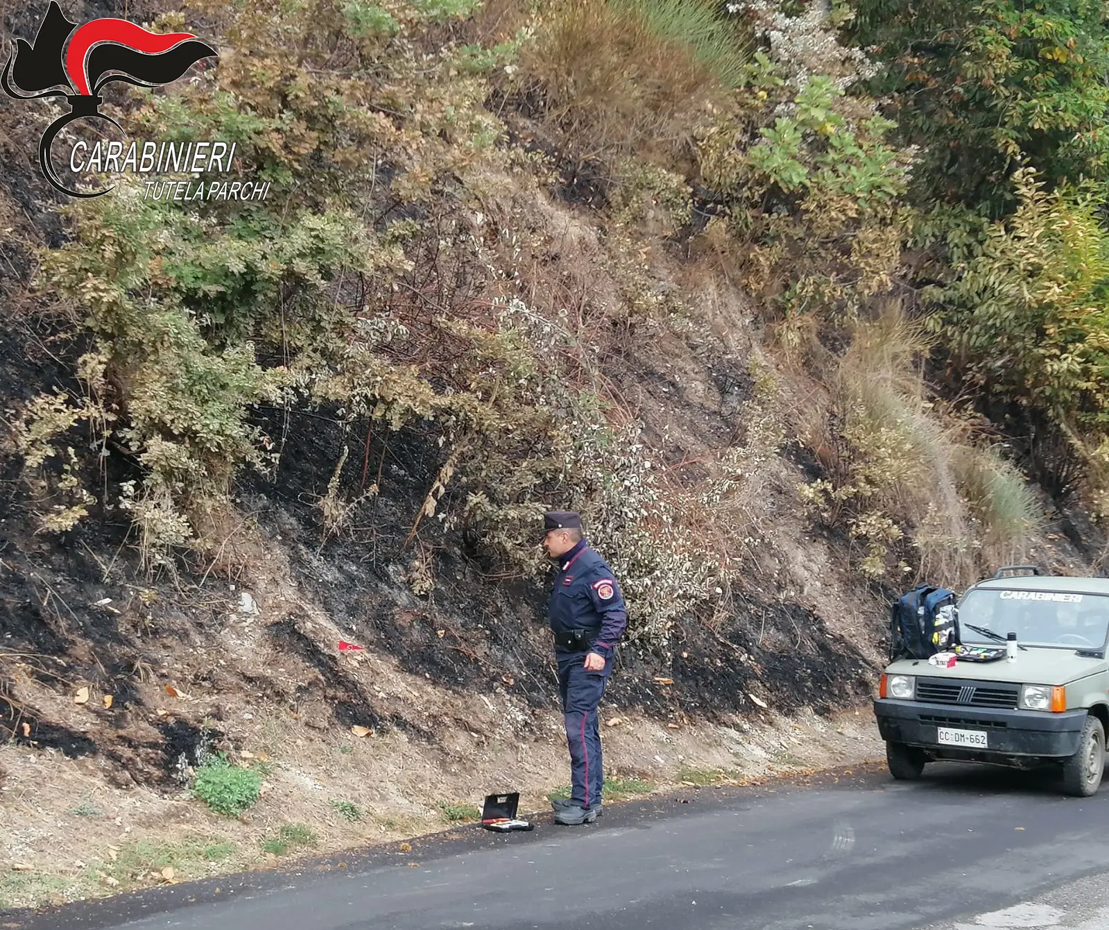Acquaformosa, uomo denunciato per incendio boschivo doloso