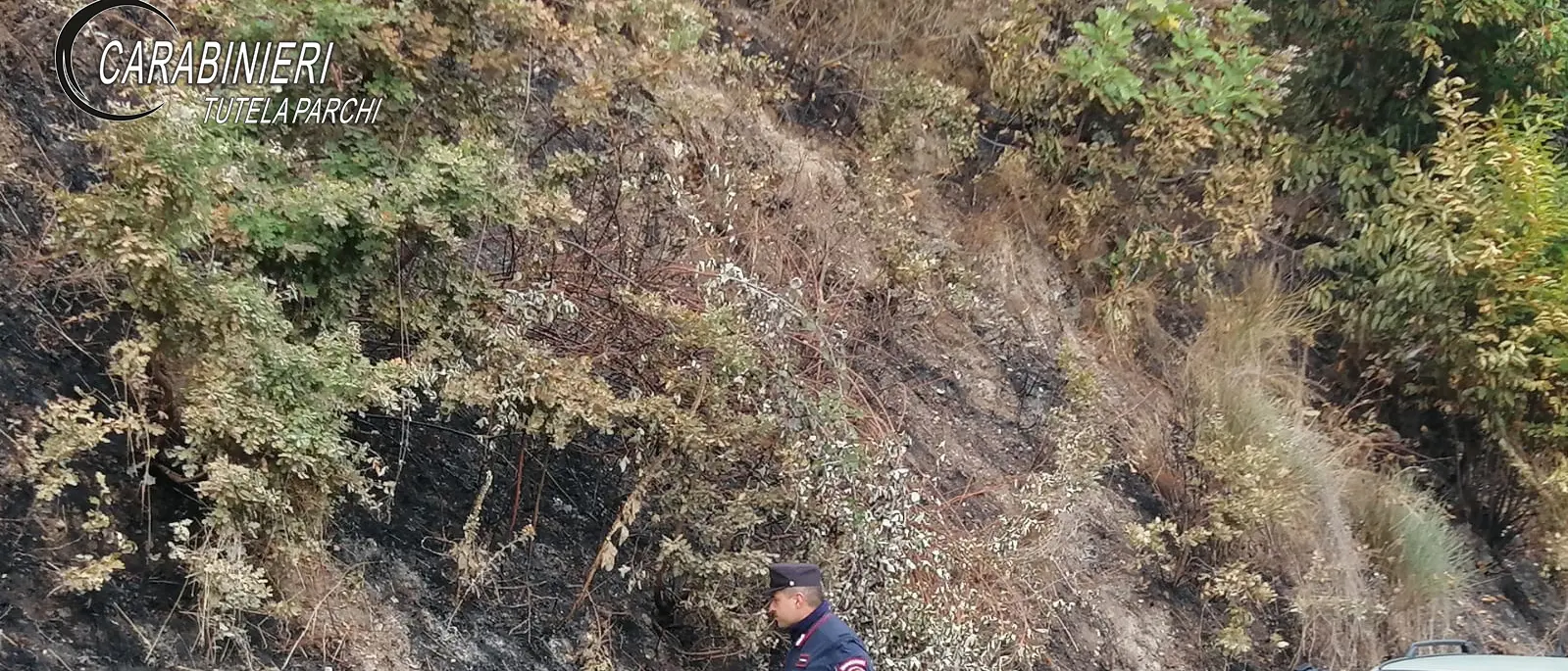 Acquaformosa, uomo denunciato per incendio boschivo doloso