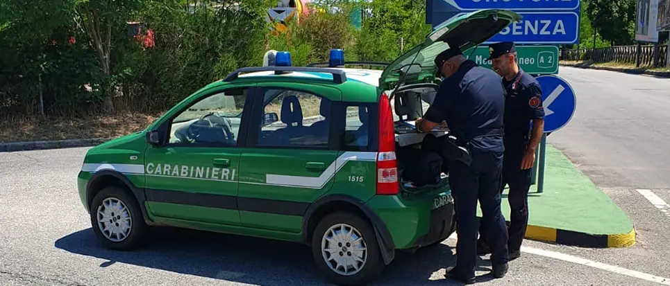 Frantoio di Corigliano Rossano, controlli dei carabinieri forestale