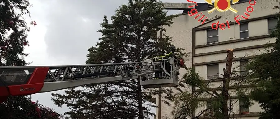 Maltempo in Calabria, lieve miglioramento a partire da domani