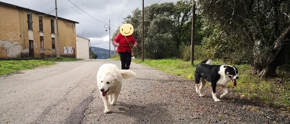Casali del Manco, arrivano i primi cani di quartiere