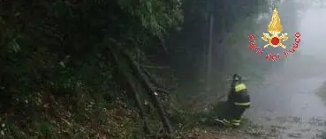 Allerta meteo: interventi dei vigili del fuoco nel catanzarese