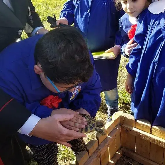 La Tartaruga… ritorna a scuola: le foto della seconda edizione