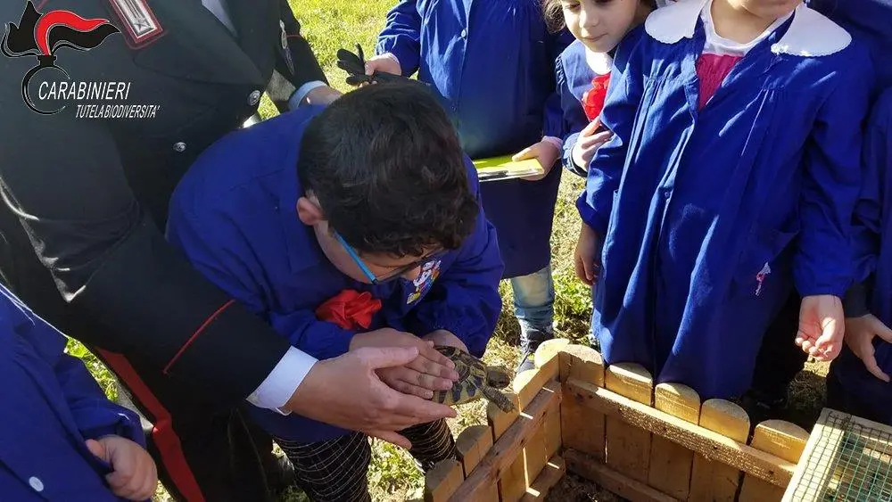 La Tartaruga… ritorna a scuola: le foto della seconda edizione