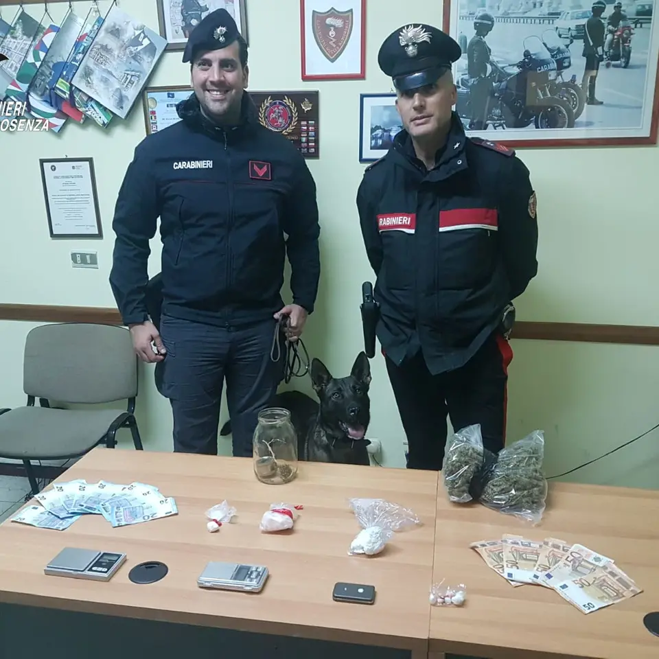 Controlli antidroga nell'Alto Tirreno cosentino, due arresti