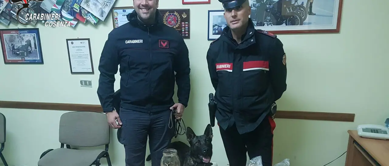 Controlli antidroga nell'Alto Tirreno cosentino, due arresti