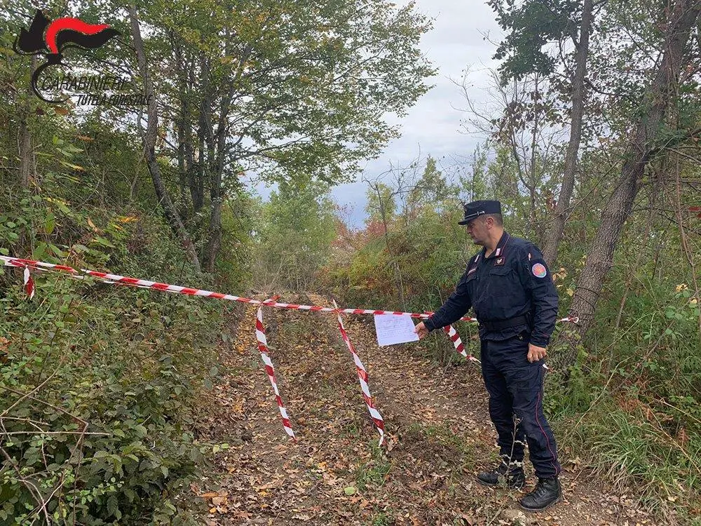 Controlli e sequestri nei Comuni di Grisolia, Aieta e Verbicaro