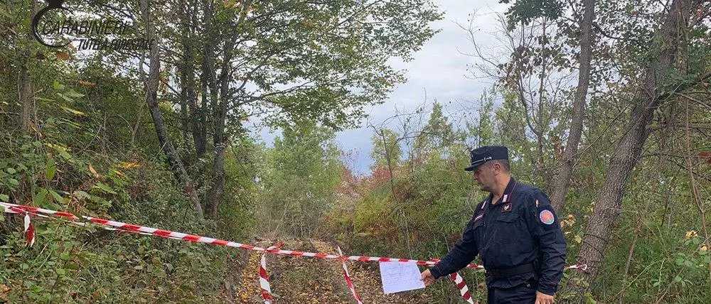 Controlli e sequestri nei Comuni di Grisolia, Aieta e Verbicaro