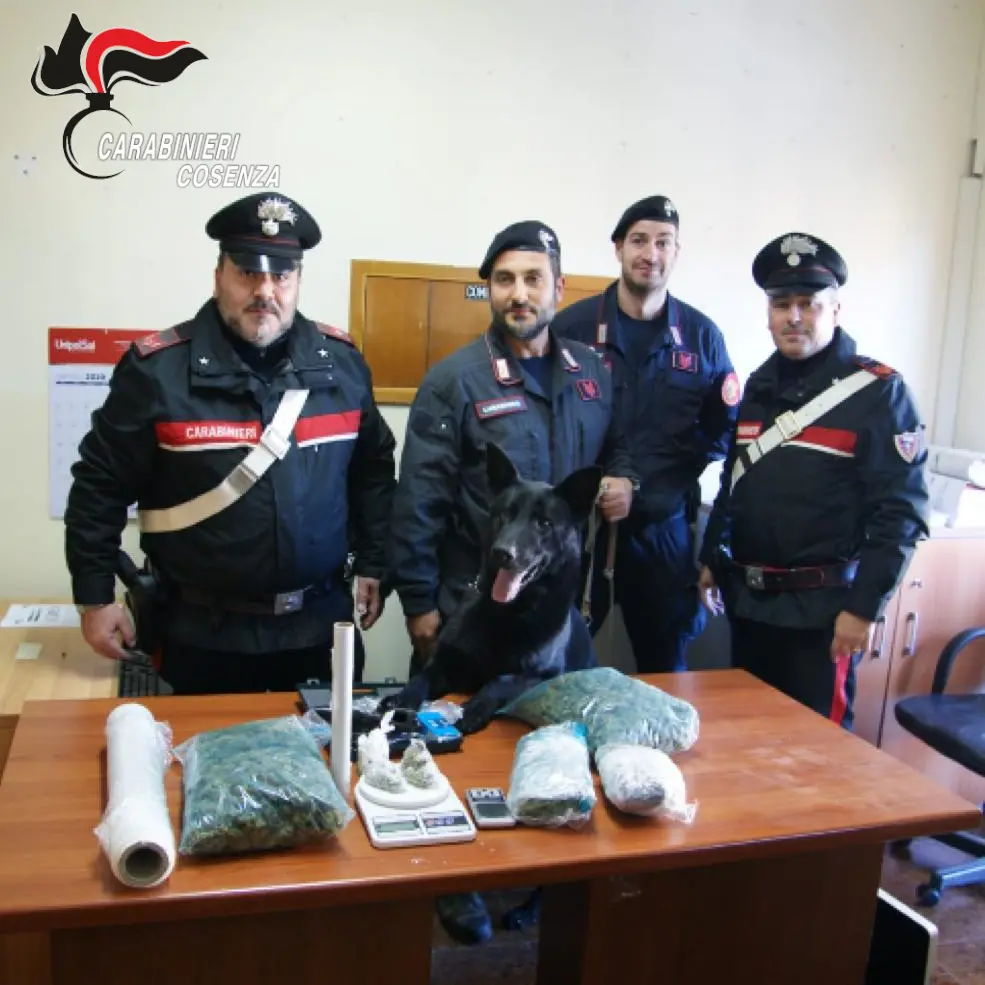 Buonvicino, i carabinieri trovano oltre un chilo di droga: arrestato 29enne
