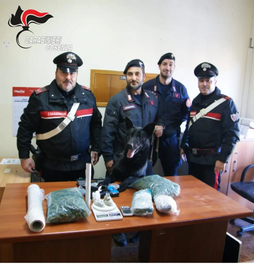 Buonvicino, i carabinieri trovano oltre un chilo di droga: arrestato 29enne