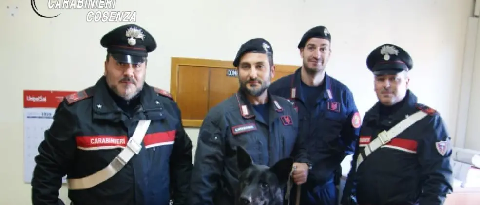 Buonvicino, i carabinieri trovano oltre un chilo di droga: arrestato 29enne