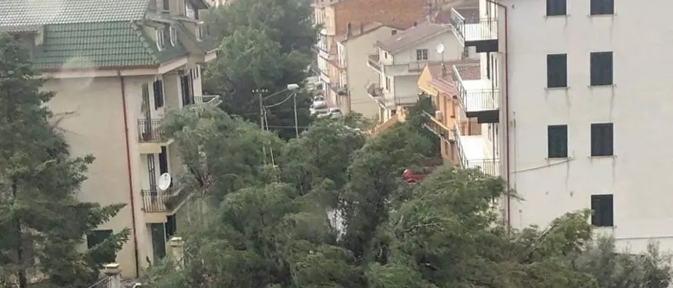 Raffiche di vento a 100km/h, allarme maltempo nel Cosentino