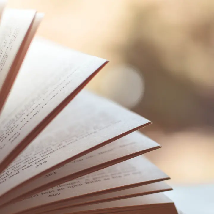 Giovanna De Nobili, la poetessa ribelle che sfidò la Catanzaro del Settecento\n