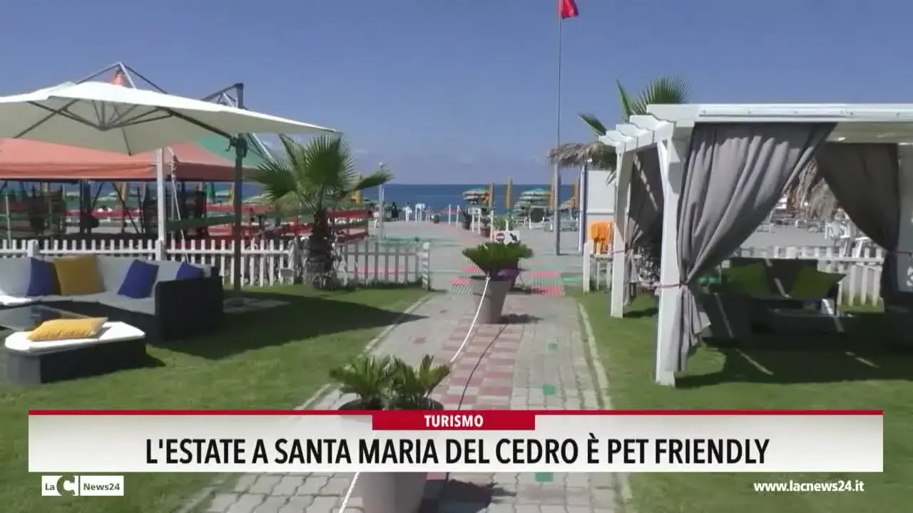 L'estate a Santa Maria del Cedro è pet friendly