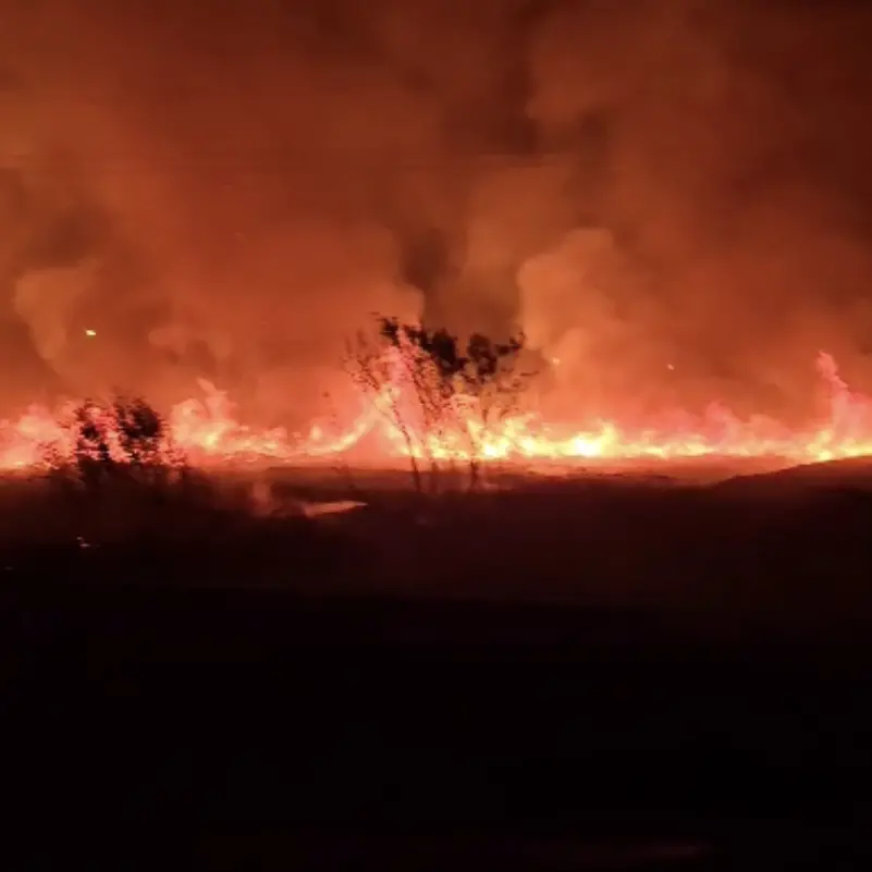 Corigliano Rossano, incendio sul tratto costiero: fiamme a pochi metri dalle abitazioni\n
