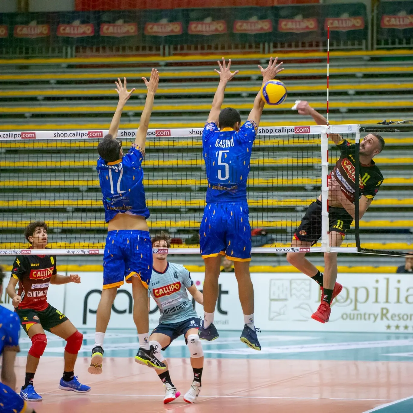 Pallavolo, Corigliano è scatenata: arriva il libero Vindice. Più attendiste le altre calabresi\u00A0\n