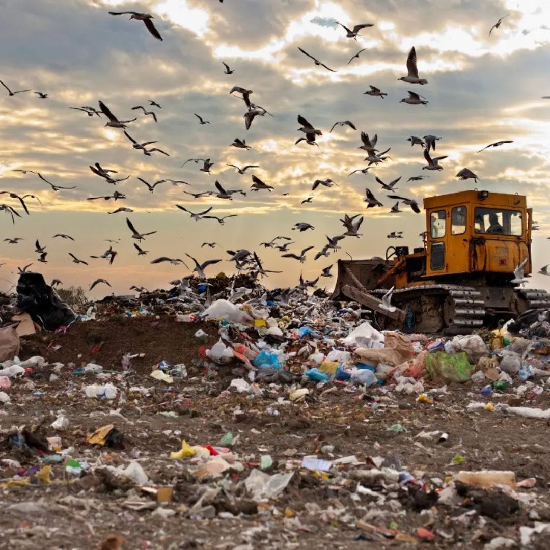 Dal cemento illegale ai rifiuti, 40mila reati contro l’ambiente nel 2024: Calabria tra le prime 4 regioni per illeciti\n