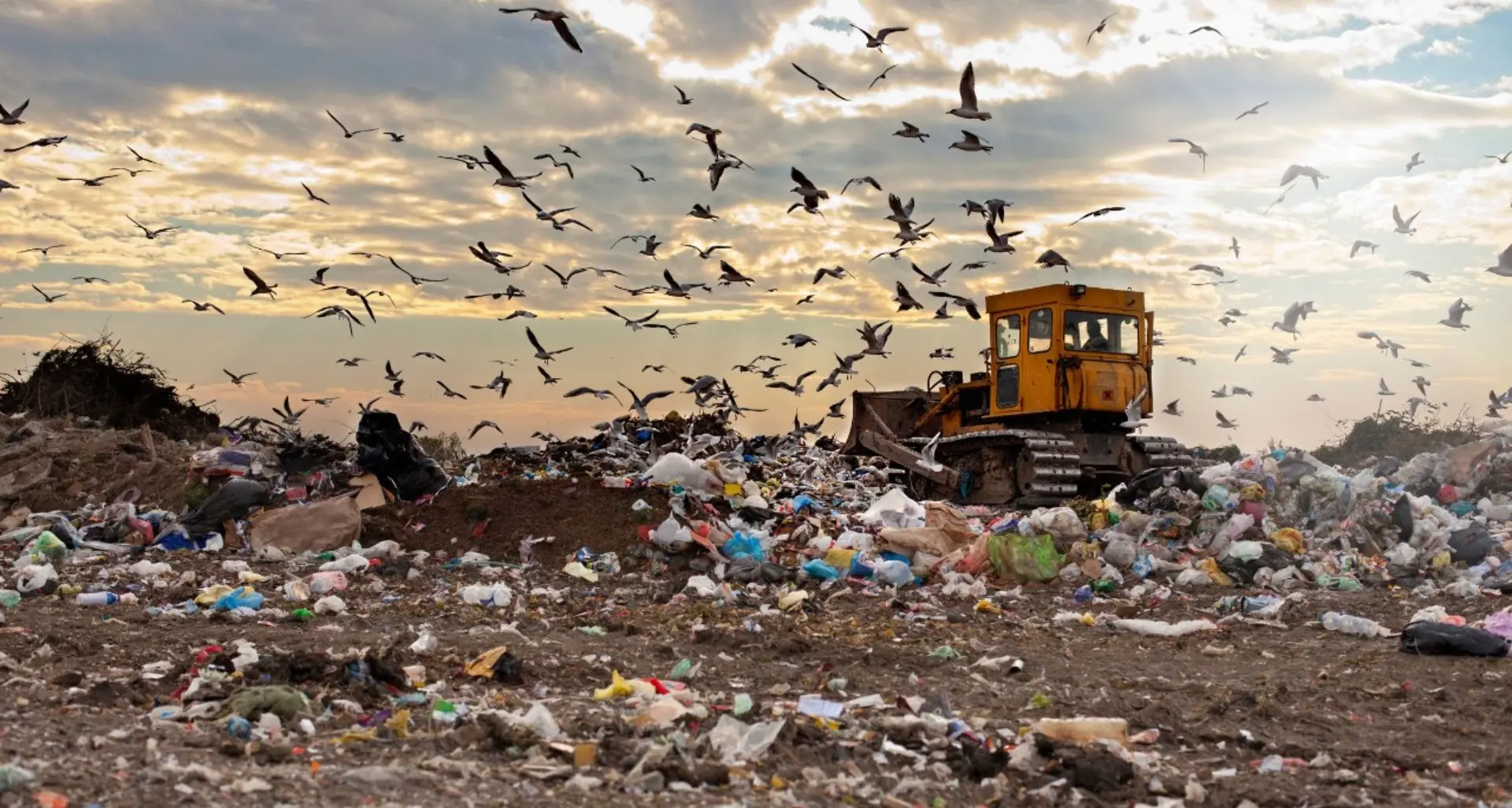 Dal cemento illegale ai rifiuti, 40mila reati contro l’ambiente nel 2024: Calabria tra le prime 4 regioni per illeciti\n