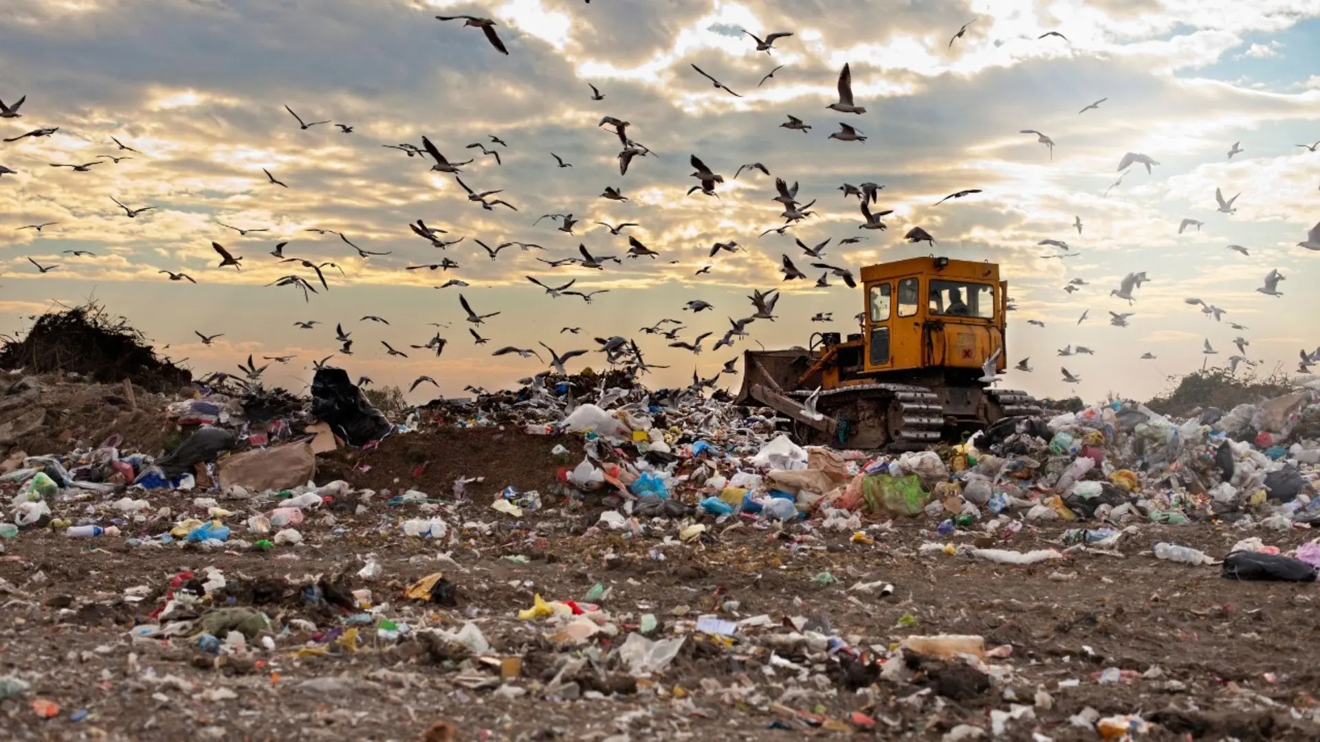 Dal cemento illegale ai rifiuti, 40mila reati contro l’ambiente nel 2024: Calabria tra le prime 4 regioni per illeciti\n