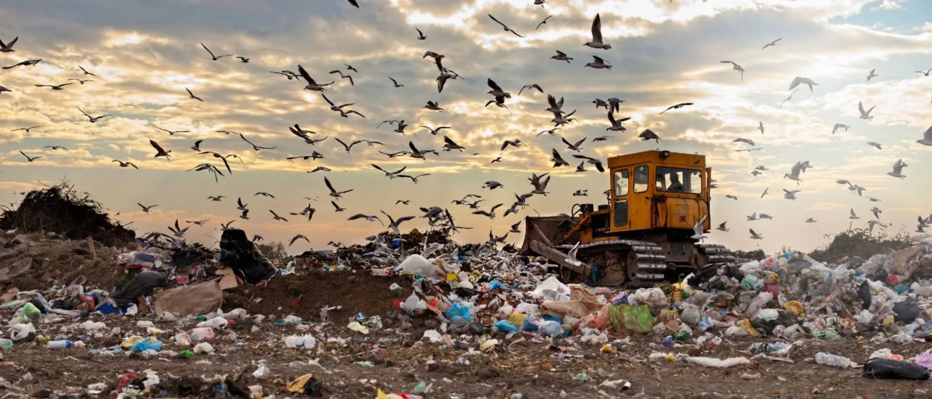 Dal cemento illegale ai rifiuti, 40mila reati contro l’ambiente nel 2024: Calabria tra le prime 4 regioni per illeciti\n