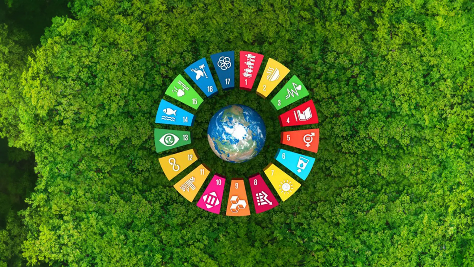 Sviluppo sostenibile, i\u00A0problemi sociali ed economici allontanano la Calabria dagli obiettivi di Agenda 2030\n