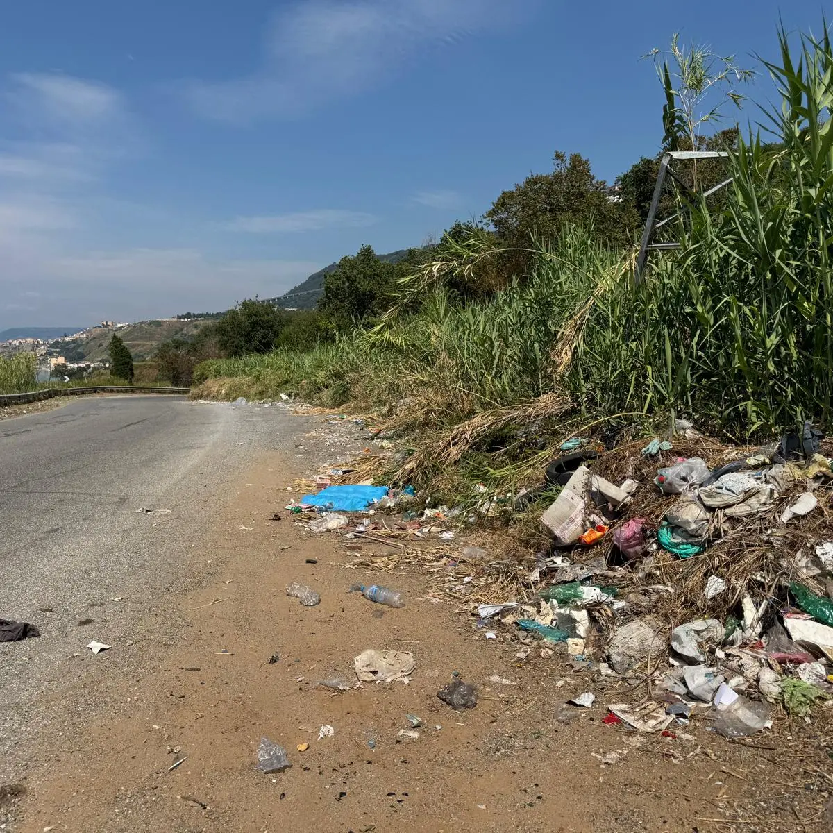 Rifiuti come coriandoli lungo la strada tra Pizzo e Vibo Marina dopo lo sfalcio, la Provincia: «Doveva pensarci il Comune»\n