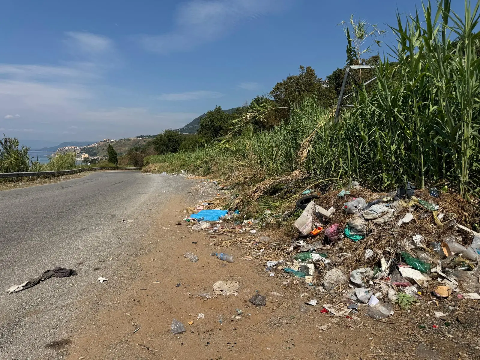 Rifiuti come coriandoli lungo la strada tra Pizzo e Vibo Marina dopo lo sfalcio, la Provincia: «Doveva pensarci il Comune»