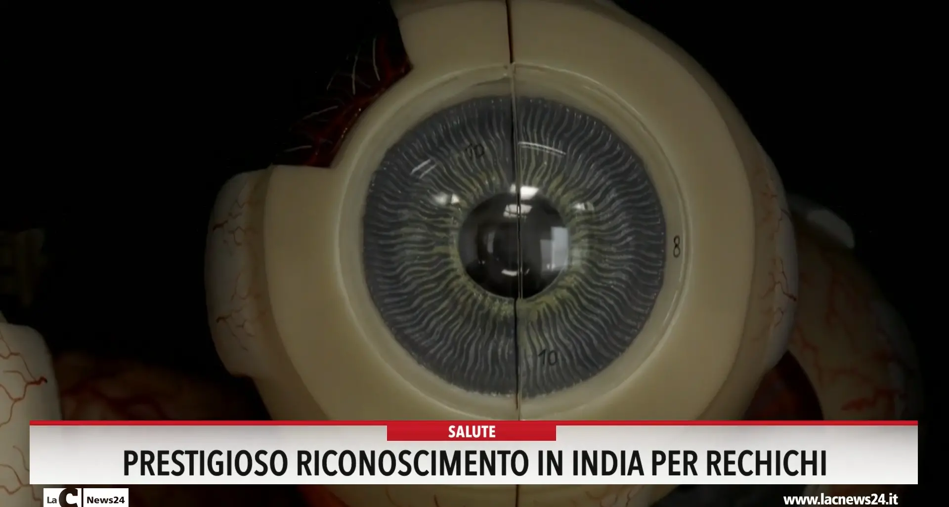 Prestigioso riconoscimento in India per Rechichi