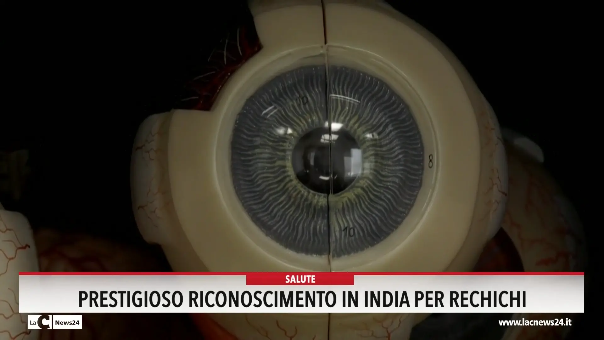 Prestigioso riconoscimento in India per Rechichi