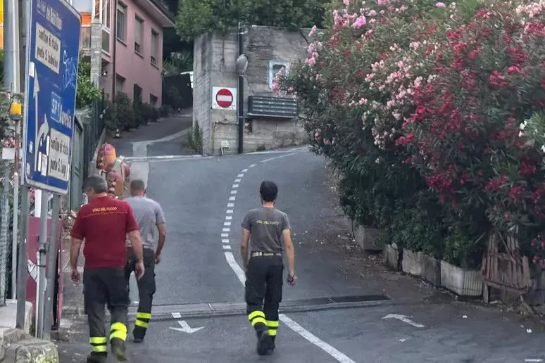 Scomparso a cinque anni, la città intera lo cerca: Ventimiglia vive ore di angoscia per Alain\n