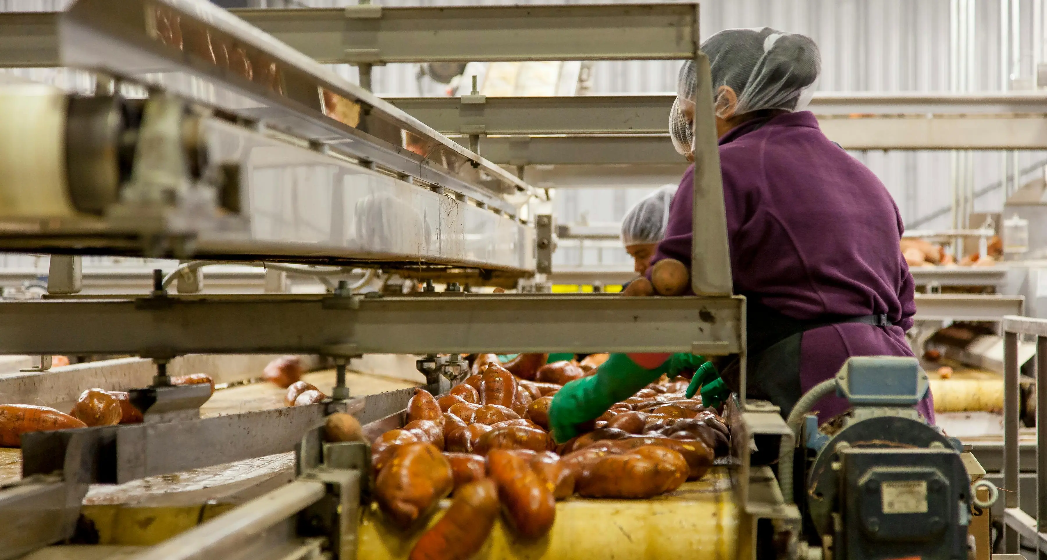 I dazi Usa minacciano anche l'export calabrese, a rischio posti di lavoro e milioni di euro: Catanzaro la provincia\u00A0più colpita\n