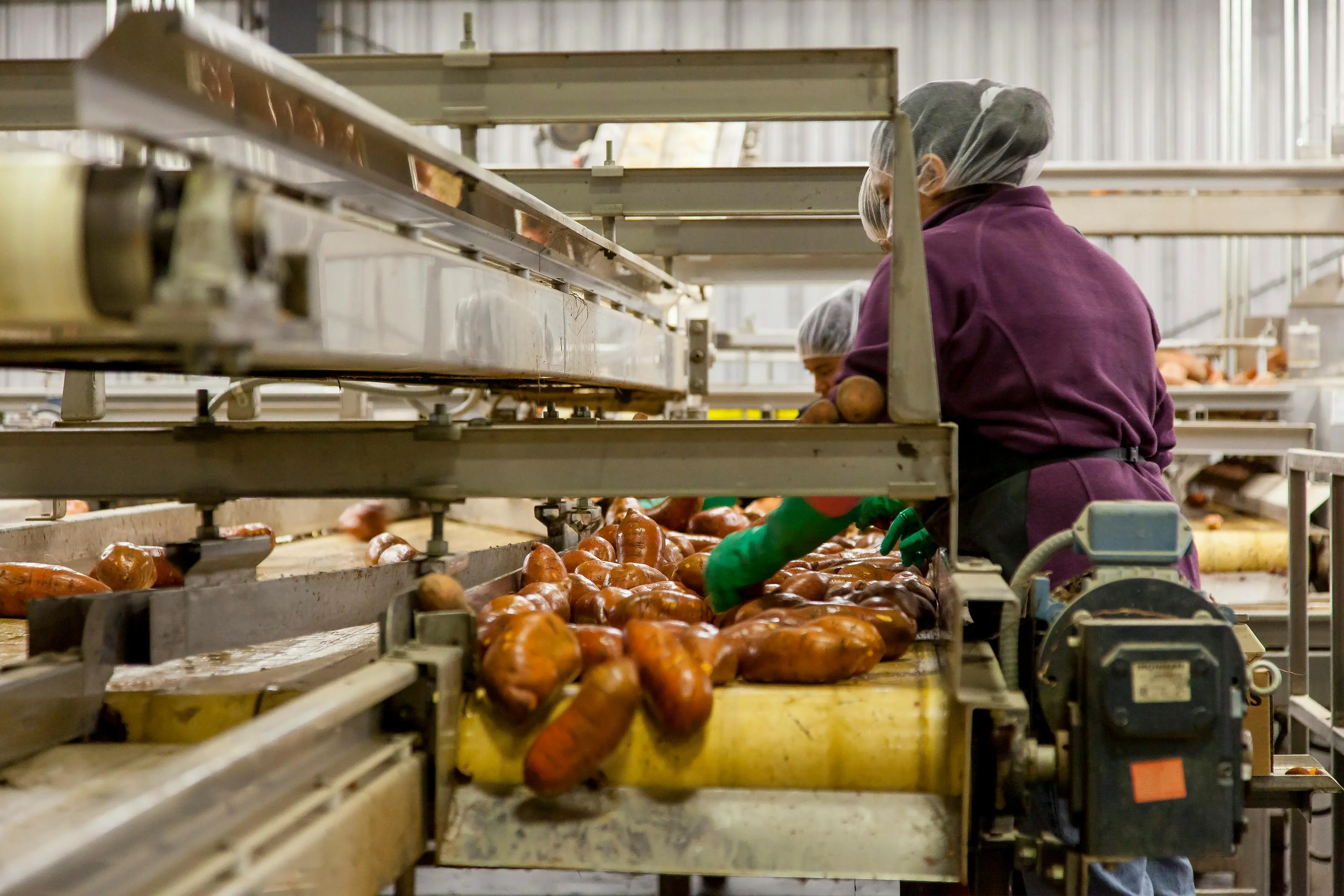 I dazi Usa minacciano anche l'export calabrese, a rischio posti di lavoro e milioni di euro: Catanzaro la provincia\u00A0più colpita\n
