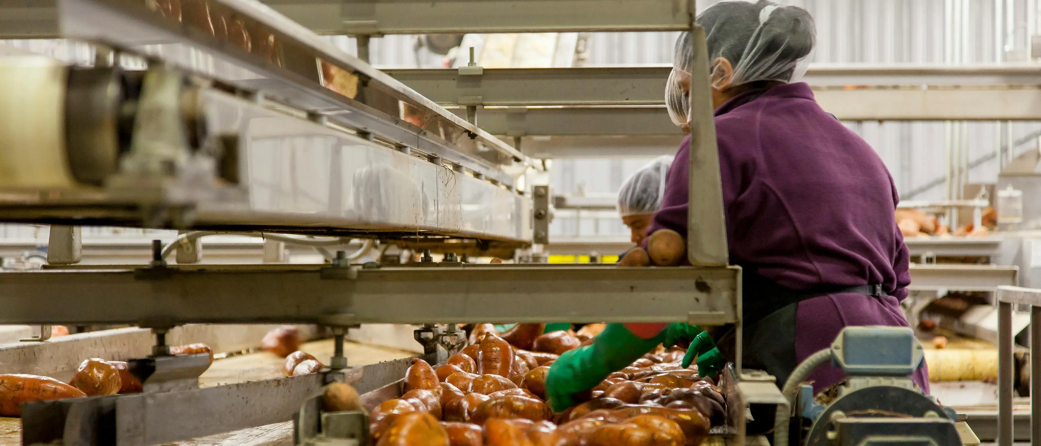 I dazi Usa minacciano anche l'export calabrese, a rischio posti di lavoro e milioni di euro: Catanzaro la provincia\u00A0più colpita\n