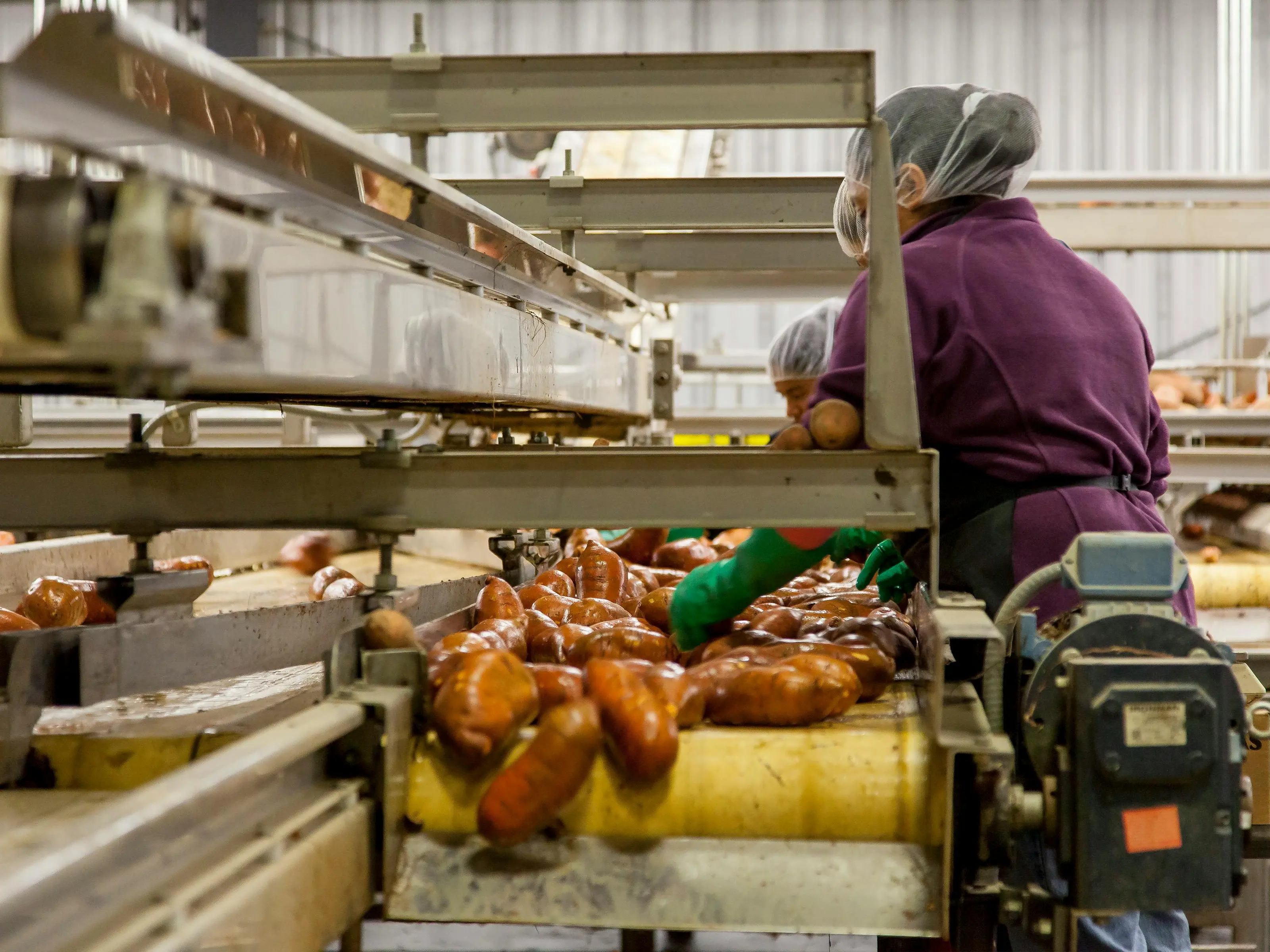 I dazi Usa minacciano anche l'export calabrese, a rischio posti di lavoro e milioni di euro: Catanzaro la provincia più colpita