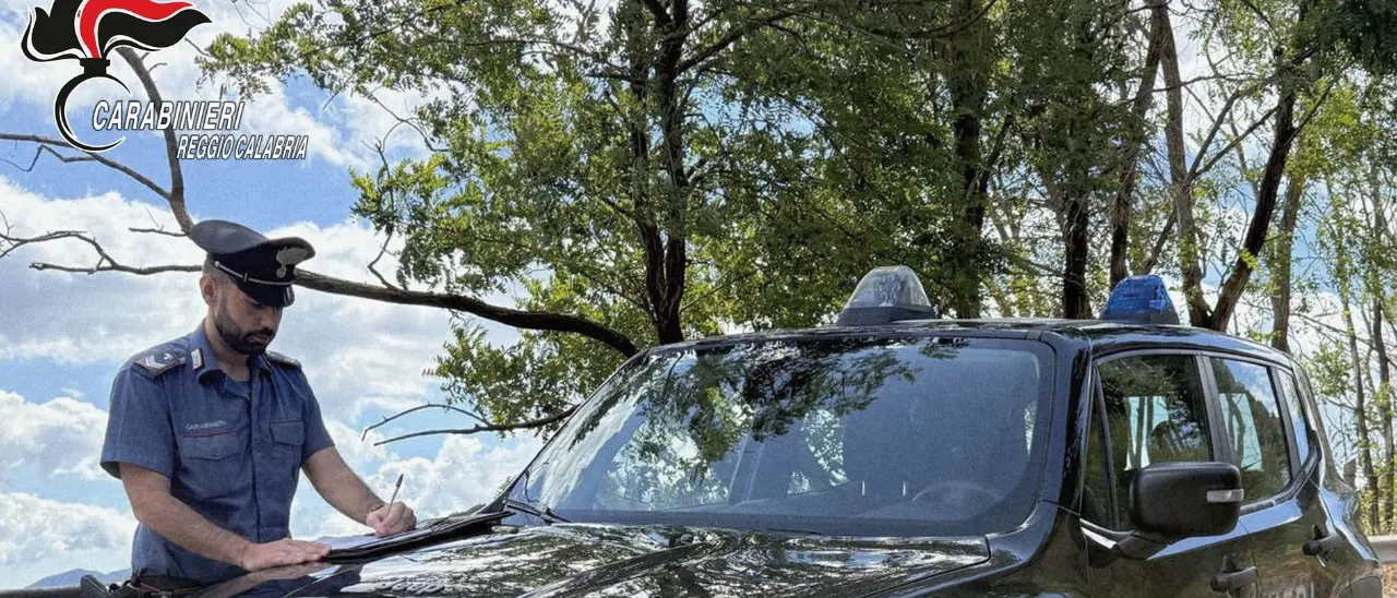 Controlli straordinari dei carabinieri nella Piana di Gioia Tauro: 13 denunce\n