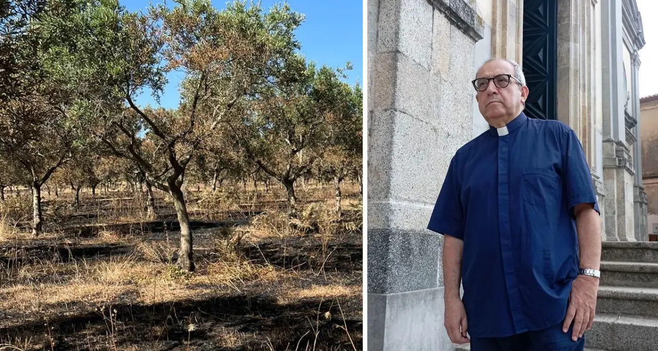 Centinaia di ulivi distrutti nella cooperativa confiscata alla ‘ndrangheta, don Pino De Masi:\u00A0«Continueremo a resistere, siamo più forti della mafia»\n
