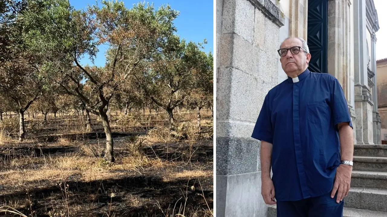 Centinaia di ulivi distrutti nella cooperativa confiscata alla ‘ndrangheta, don Pino De Masi:\u00A0«Continueremo a resistere, siamo più forti della mafia»\n