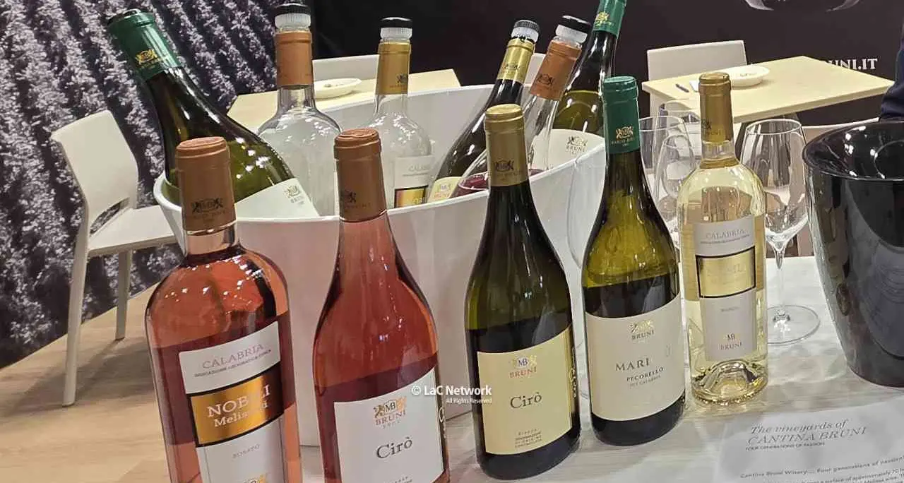 Export del vino italiano: crescita portentosa degli spumanti. Usa, Germania e Regno Unito i mercati principali\n