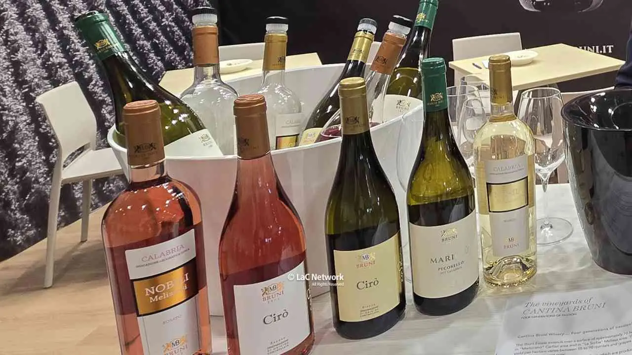Export del vino italiano: crescita portentosa degli spumanti. Usa, Germania e Regno Unito i mercati principali\n