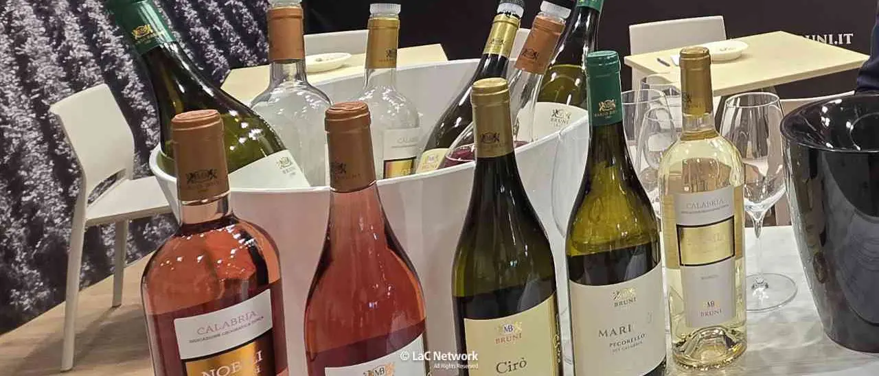 Export del vino italiano: crescita portentosa degli spumanti. Usa, Germania e Regno Unito i mercati principali\n