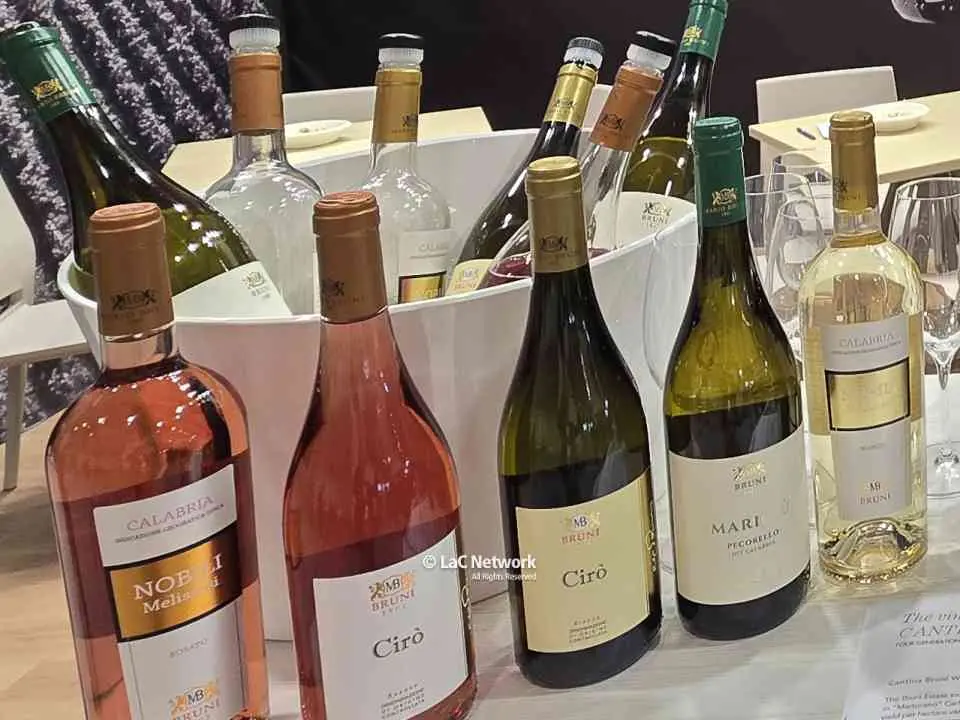 Export del vino italiano: crescita portentosa degli spumanti. Usa, Germania e Regno Unito i mercati principali